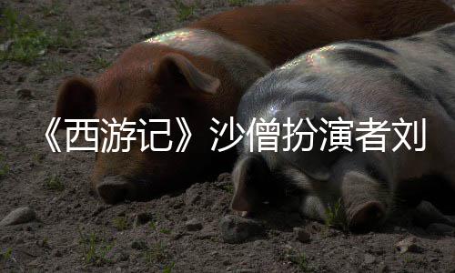 西享年游记演者刚去刘大沙僧扮世 岁
