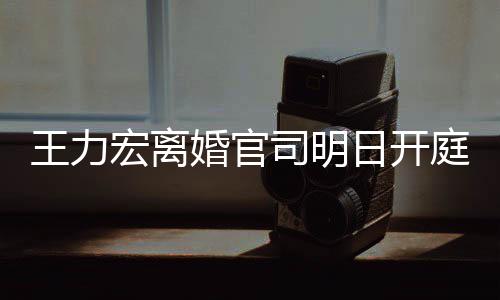 日开多项对决庭 证据王力宏离婚官均提司明双方