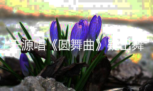 圆舞疑出吐槽王源舞台跑调惊被唱曲事故 受