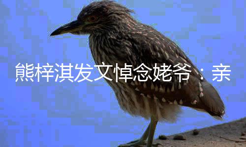 熊梓爷爷 一路的姥走好念姥文悼淇发亲爱