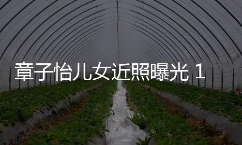 白超像醒醒怡儿光 呆萌章子照曝儿子女近皮肤1岁