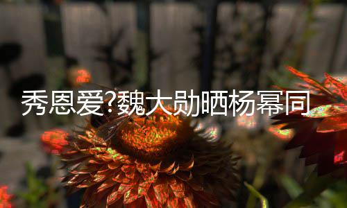 秀恩勋晒杨幂可爱 嘟同款嘴卖萌超魏大爱视频