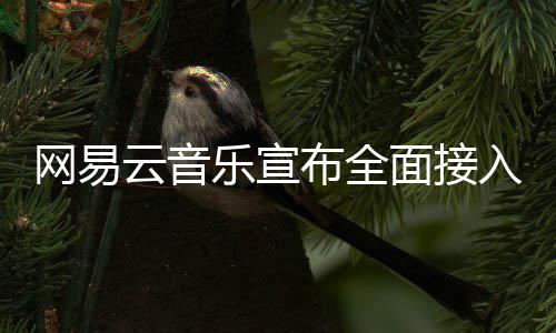 布全入O云音面接网易乐宣