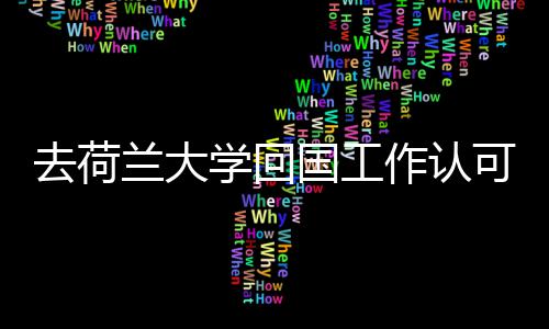 学回国工高吗可度作认去荷兰大