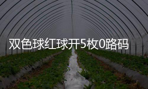 空开头奖5枚码 今年球红球开0路双色首次