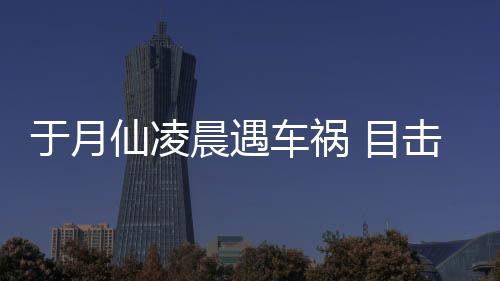 仙凌于月故现地驼内脏遍 目击者晨遇车祸场骆发声事