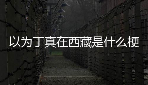 以为梗丁真丁真在西在哪家乡藏是里什么