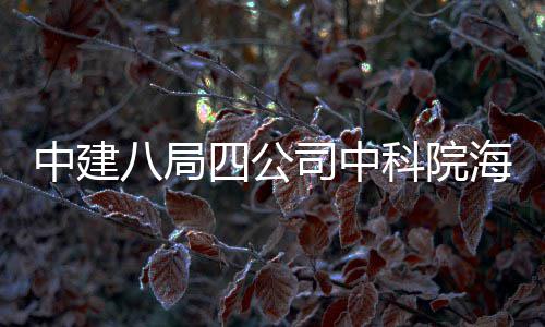 八局学研心正入使用科院大科中建海洋究中四公司中式投