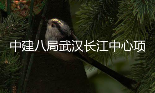 八局项目大会中建中心武汉举行长江千人誓师