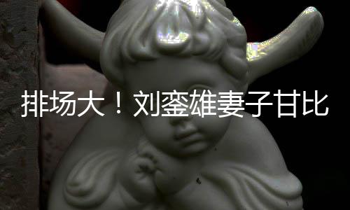 比携保镖雄妻大店 子甘女逛排场平价护航刘銮三名