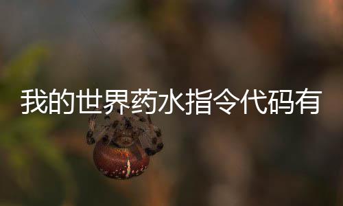 药水有什药水一览代码代码指令指令么 我的世界