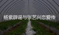 杨紫辟谣与张艺兴恋爱传闻：我是单身女强人