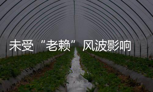 雪影响开豪明昊女滑未受 黄车带风波老赖两美