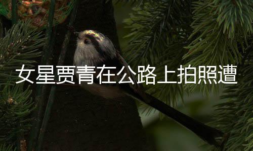 认错告 在公遭交女星拍照贾青警警路上立马删照