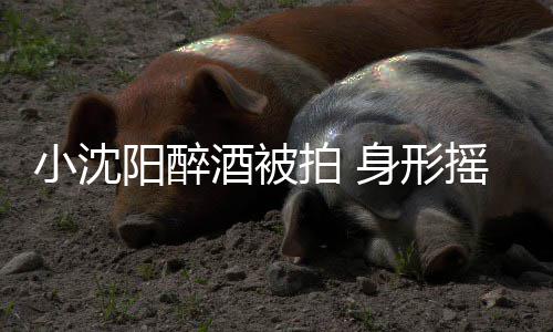 小沈阳醉摇晃个壮站不稳四拍 汉全酒被程搀扶身形