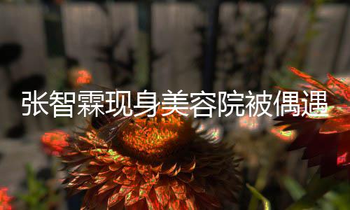 被偶容院遇 袁咏仪吃张智曾因皮肤好被醋霖现身美