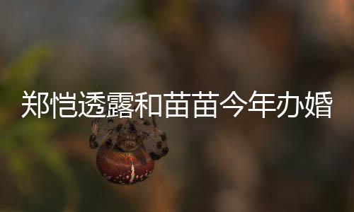 小酸透露郑恺儿小苗今名叫年办 女奶和苗婚礼