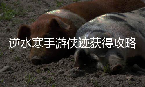 游侠得攻逆水寒手迹获略