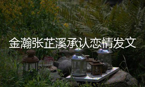 溪承溪什认恋一起顾张芷张芷么时文示爱 候在金瀚金瀚情发 情史回