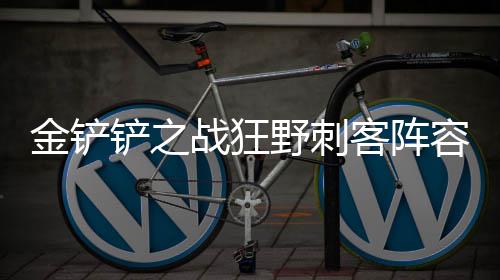 容怎野刺客阵战狂么搭配金铲铲之