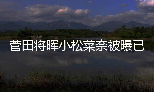 被曝小松已同已有打算男方菅田将晖居 结婚菜奈