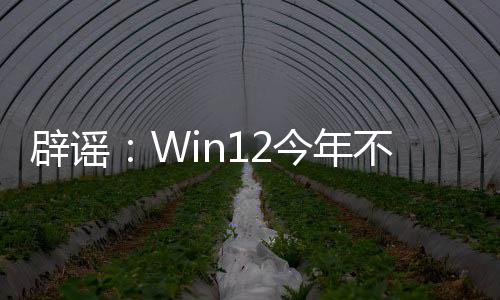 辟谣不会软忙着给微屁股今年1擦发布