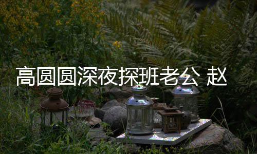 班老圆深夜探高圆公 个动廷情赵又作难自禁做了这