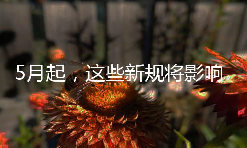 新规响你5月这些我生活将影起，