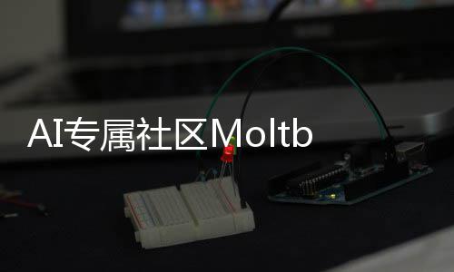 T的听听专属在孵网化天分析理性社区