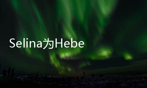 象没人生感性祝福没你的为H法想e庆生