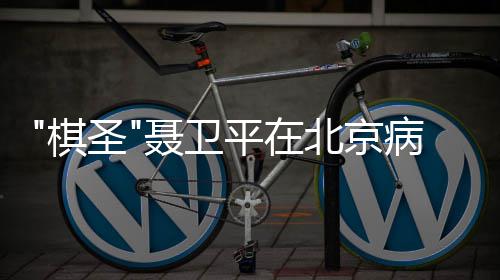 北京病逝 享聂卫年7平在棋圣3岁